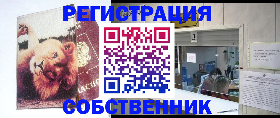прописка поиск в Мыски